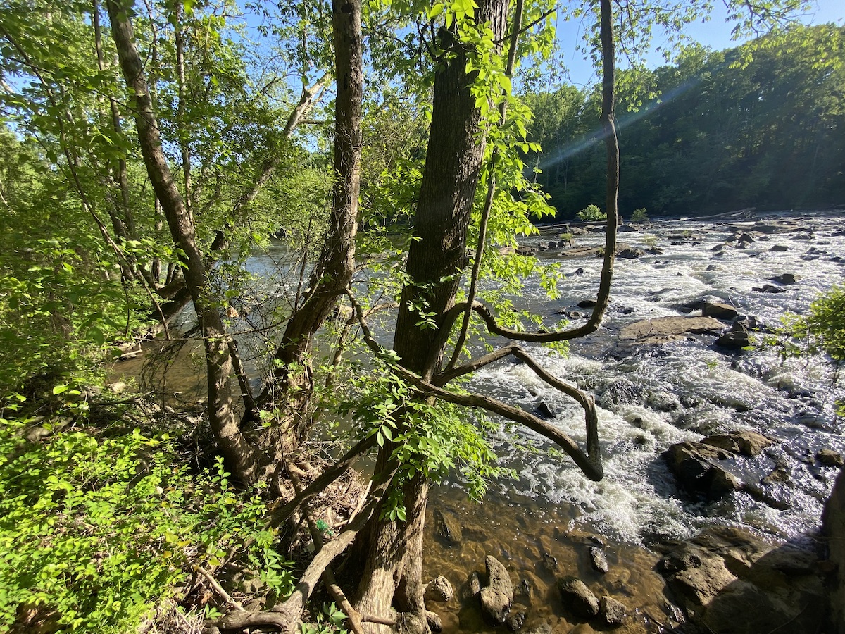 Haw River